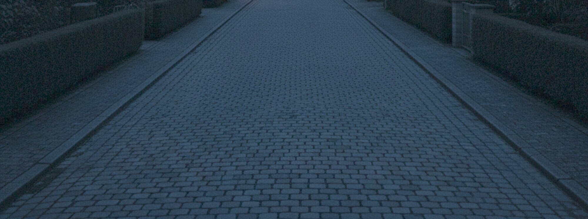 Gepflastertes Wohnstrassenstück zwischen Hecken in der Abenddämmerung